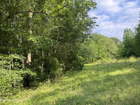 4780 County Line Rd, Carthage, MS 39051 photo 70