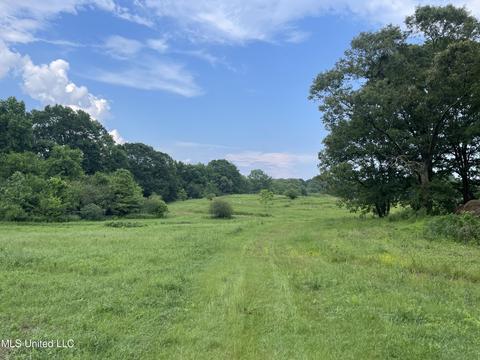 4780 County Line Rd, Carthage, MS 39051 photo 63