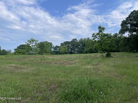 4780 County Line Rd, Carthage, MS 39051 photo 62