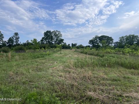 4780 County Line Rd, Carthage, MS 39051 photo 57
