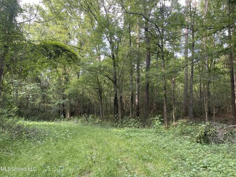 4780 County Line Rd, Carthage, MS 39051 photo 76