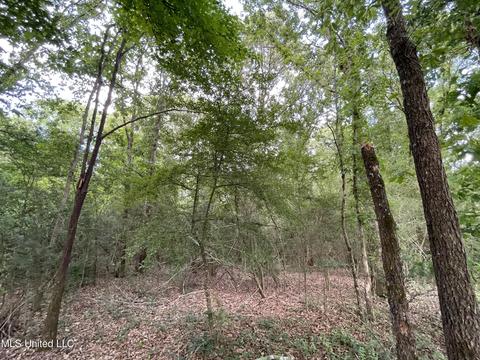 4780 County Line Rd, Carthage, MS 39051 photo 75