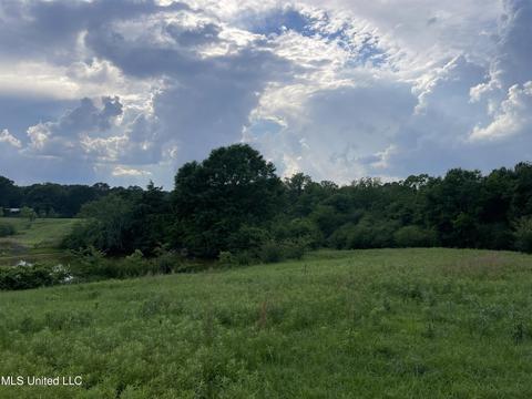 4780 County Line Rd, Carthage, MS 39051 photo 54