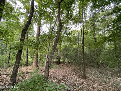 4780 County Line Rd, Carthage, MS 39051 photo 74