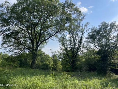 4780 County Line Rd, Carthage, MS 39051 photo 67