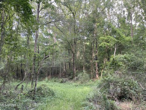 4780 County Line Rd, Carthage, MS 39051 photo 77