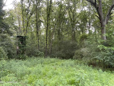 4780 County Line Rd, Carthage, MS 39051 photo 80