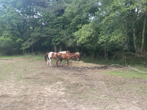 4780 County Line Rd, Carthage, MS 39051 photo 96