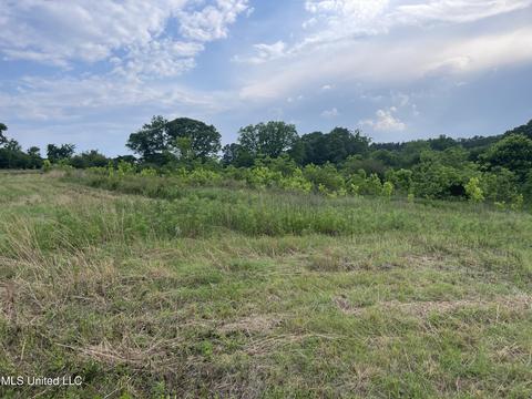 4780 County Line Rd, Carthage, MS 39051 photo 56
