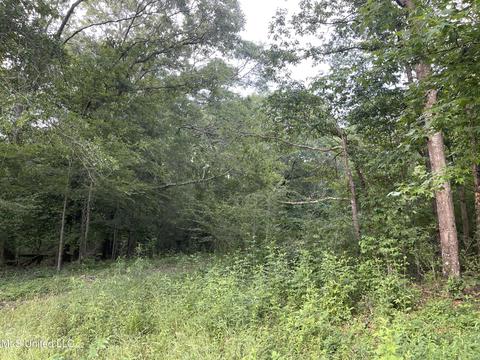 4780 County Line Rd, Carthage, MS 39051 photo 82