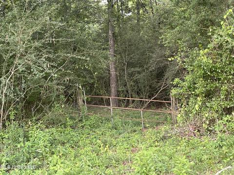 4780 County Line Rd, Carthage, MS 39051 photo 69