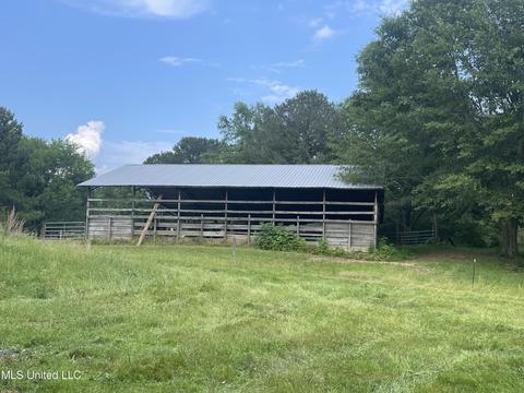 4780 County Line Rd, Carthage, MS 39051 photo 90