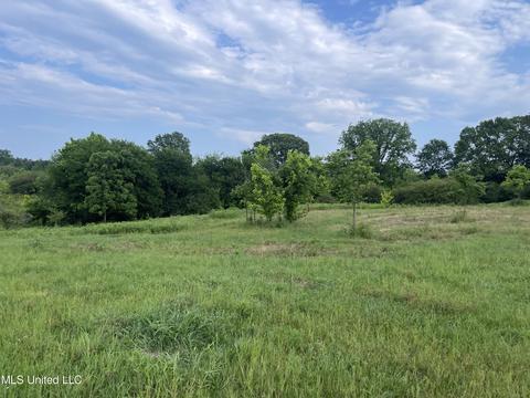 4780 County Line Rd, Carthage, MS 39051 photo 60