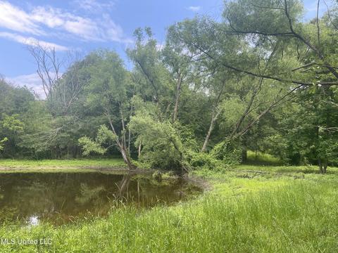 4780 County Line Rd, Carthage, MS 39051 photo 86