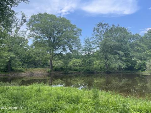 4780 County Line Rd, Carthage, MS 39051 photo 84