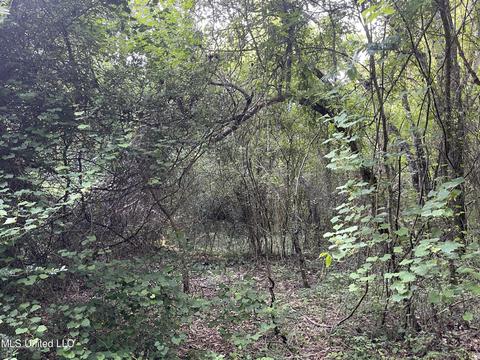 4780 County Line Rd, Carthage, MS 39051 photo 73