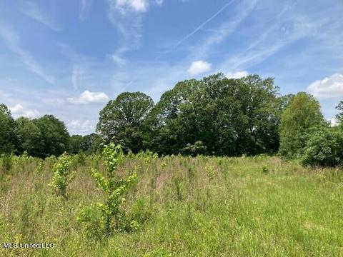 Bear Creek Road, Utica, MS 39175