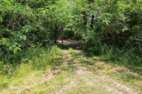 110 Highway 35, Mount Olive, MS 39119 photo 23