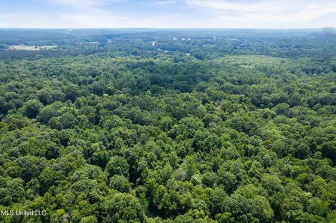 110 Highway 35, Mount Olive, MS 39119 photo 15