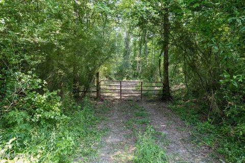 110 Highway 35, Mount Olive, MS 39119 photo 27