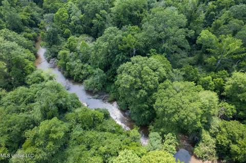 110 Highway 35, Mount Olive, MS 39119 photo 18
