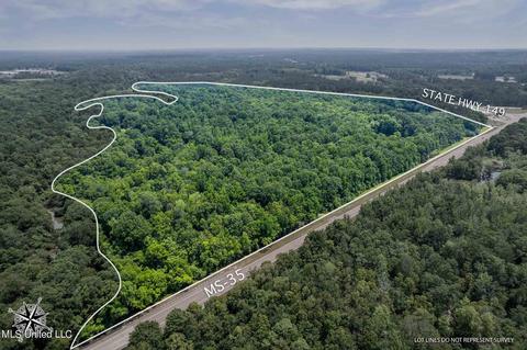 110 Highway 35, Mount Olive, MS 39119