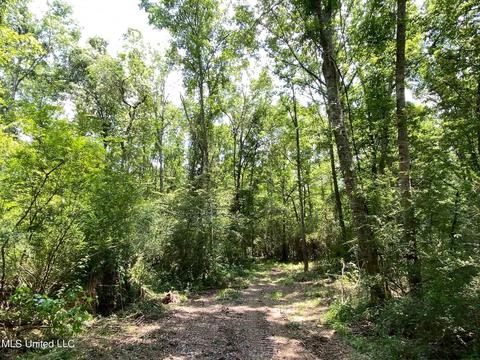 110 Highway 35, Mount Olive, MS 39119 photo 40
