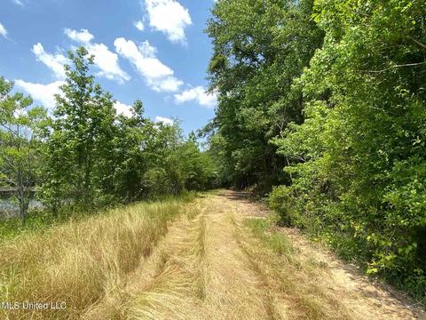 110 Highway 35, Mount Olive, MS 39119 photo 38
