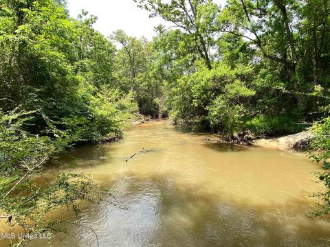 110 Highway 35, Mount Olive, MS 39119 photo 43
