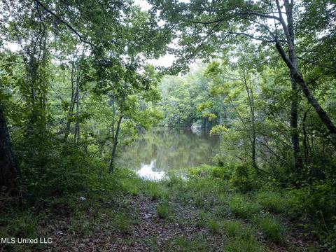 110 Highway 35, Mount Olive, MS 39119 photo 31