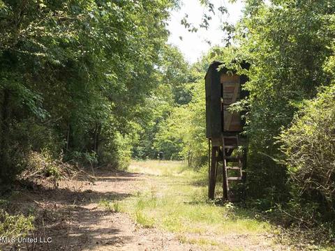 110 Highway 35, Mount Olive, MS 39119 photo 35