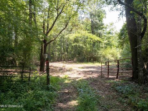 110 Highway 35, Mount Olive, MS 39119 photo 29