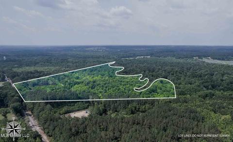 110 Highway 35, Mount Olive, MS 39119 photo 3