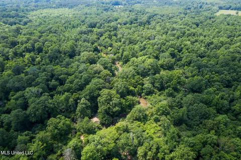 110 Highway 35, Mount Olive, MS 39119 photo 19