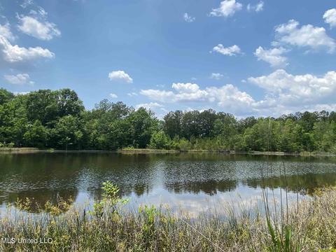 110 Highway 35, Mount Olive, MS 39119 photo 37