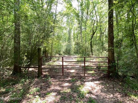 110 Highway 35, Mount Olive, MS 39119 photo 39