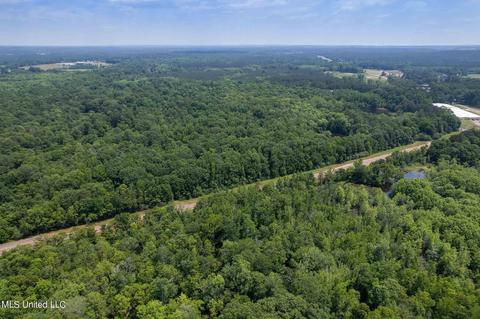 110 Highway 35, Mount Olive, MS 39119 photo 5