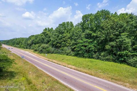 110 Highway 35, Mount Olive, MS 39119 photo 24
