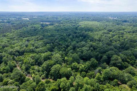 110 Highway 35, Mount Olive, MS 39119 photo 17