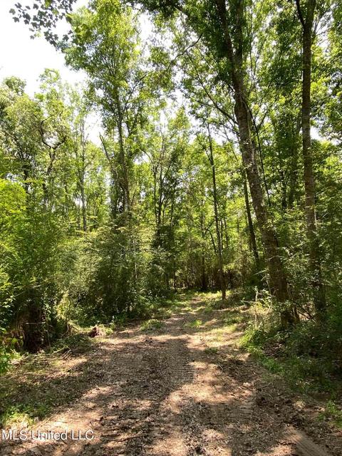 110 Highway 35, Mount Olive, MS 39119 photo 41