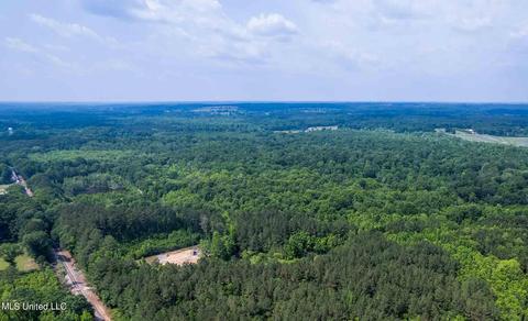 110 Highway 35, Mount Olive, MS 39119 photo 4