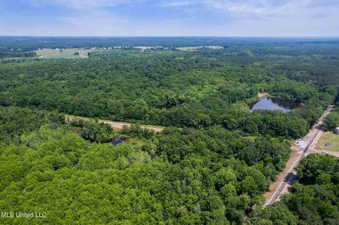 110 Highway 35, Mount Olive, MS 39119 photo 7