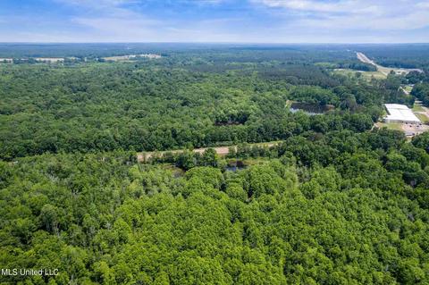 110 Highway 35, Mount Olive, MS 39119 photo 6