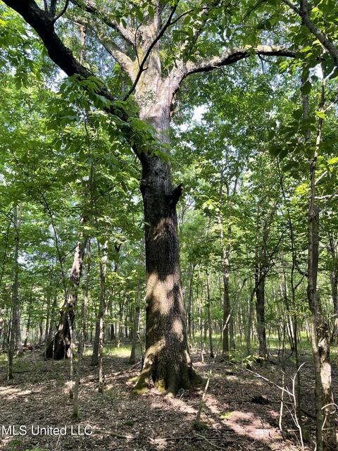 Jossell Road, Marks, MS 38646