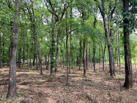 426 Catlett Rd, Madison, MS 39110 photo 6