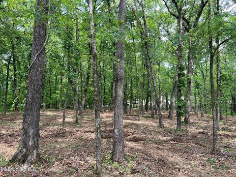 426 Catlett Rd, Madison, MS 39110 photo 5