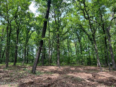 426 Catlett Rd, Madison, MS 39110 photo 3