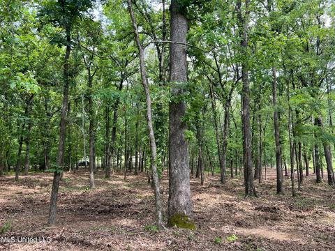426 Catlett Rd, Madison, MS 39110 photo 7