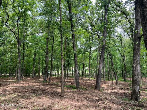 426 Catlett Rd, Madison, MS 39110 photo 4