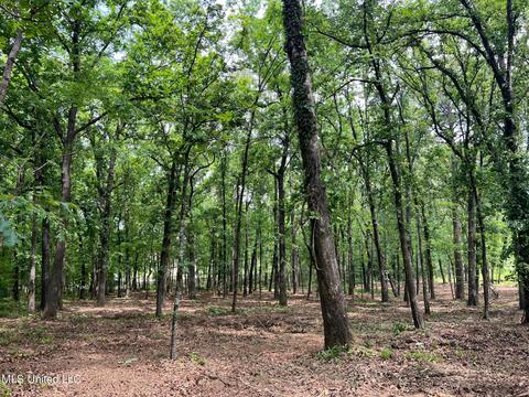 426 Catlett Rd, Madison, MS 39110 photo 8